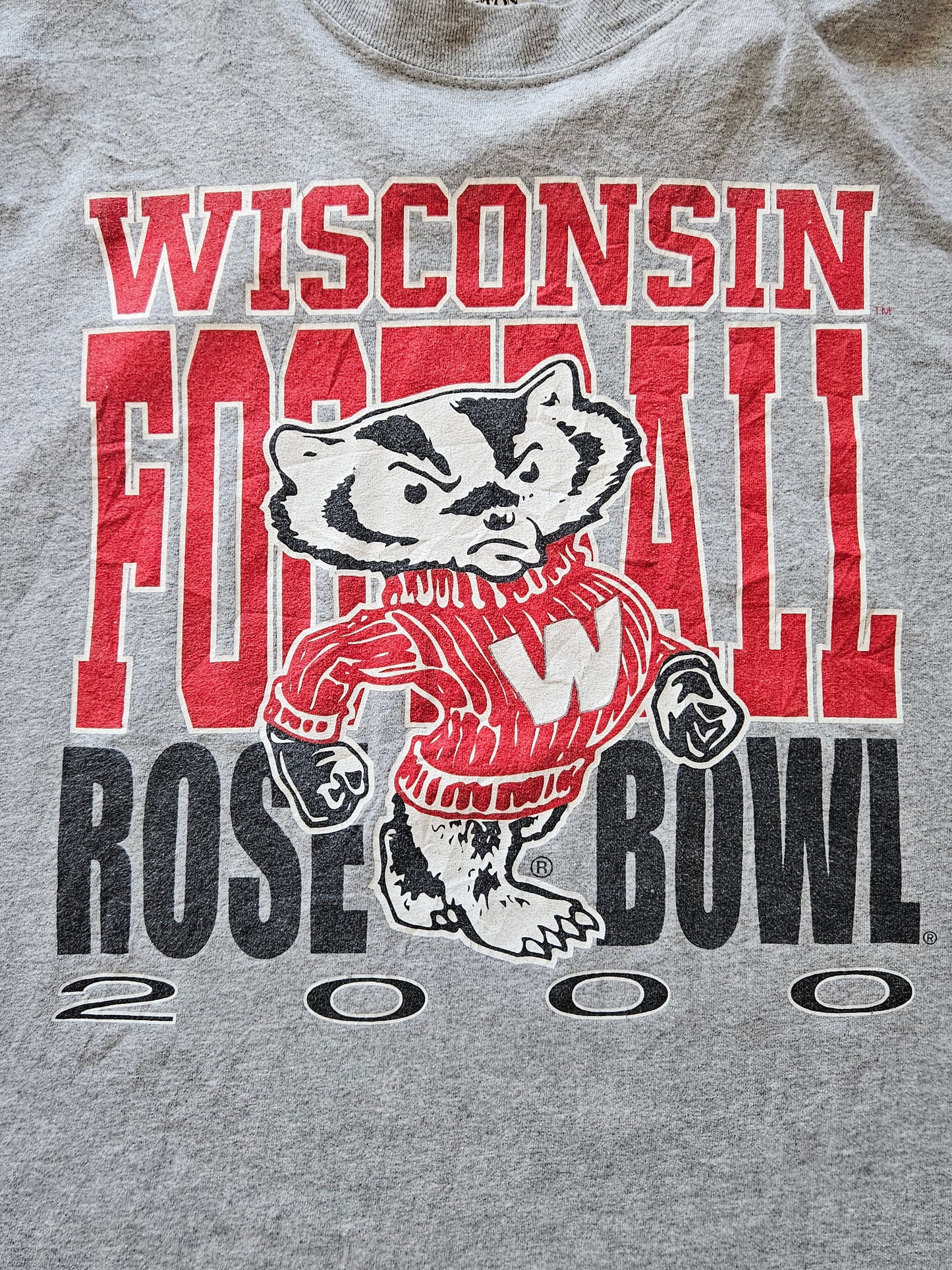 00s GILDAN ''WISCONSIN ROSE BOWL'' T-SHIRT [XXL]