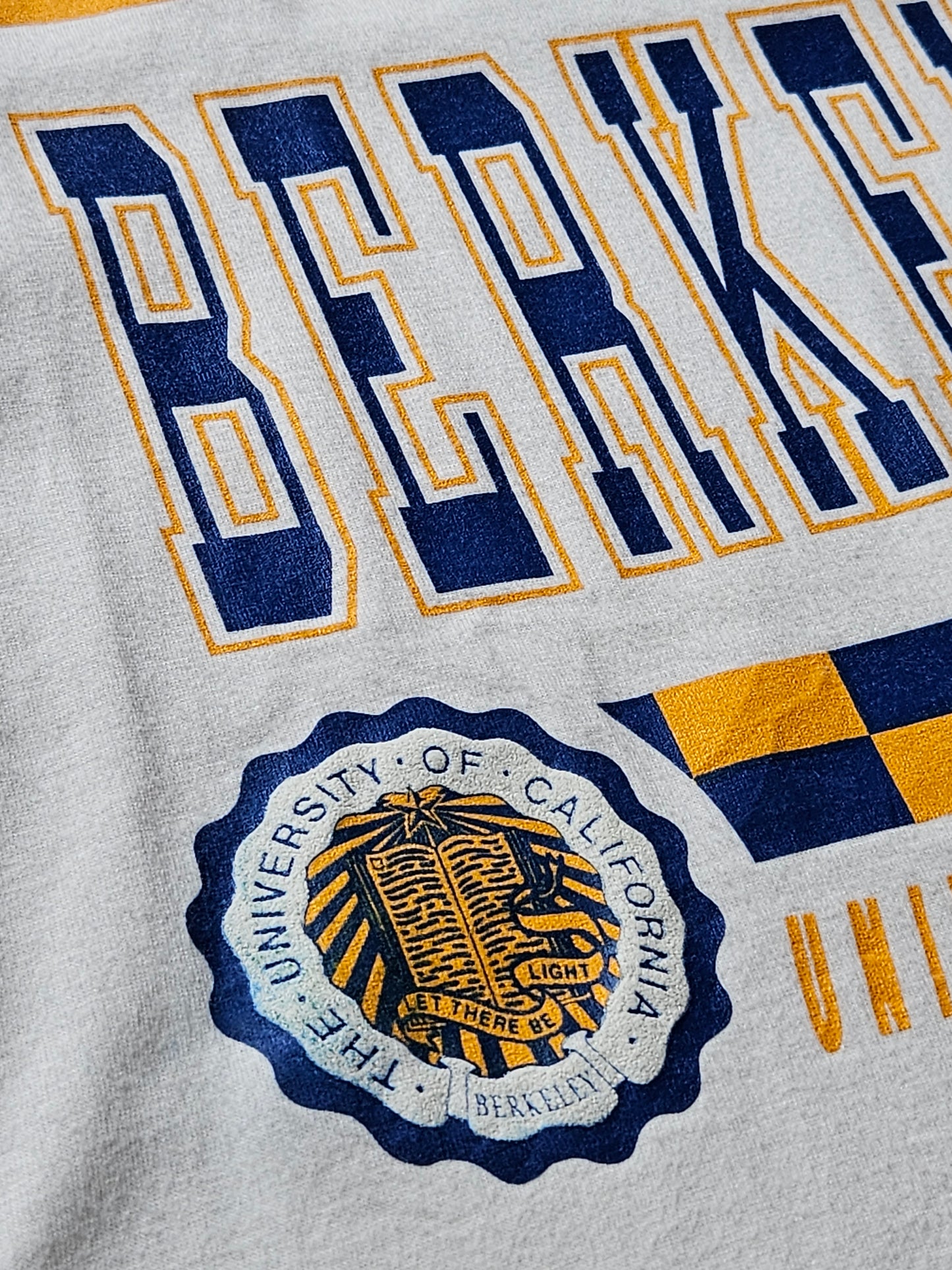 90s SOFFE ''BERKELEY UNIVERSITY'' T-SHIRT [XL]