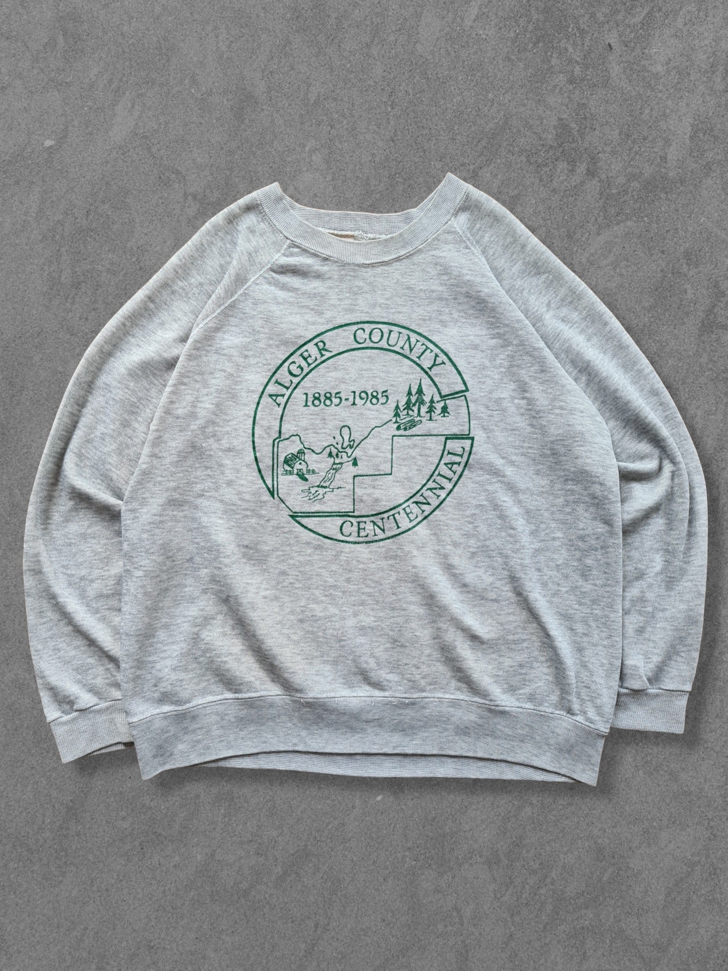 De vintage winkel met tweedehands kleding uit de thrift | 80s BASSETT WALKER ''ALGER COUNTY'' SWEATSHIRT [L] SWEATSHIRT