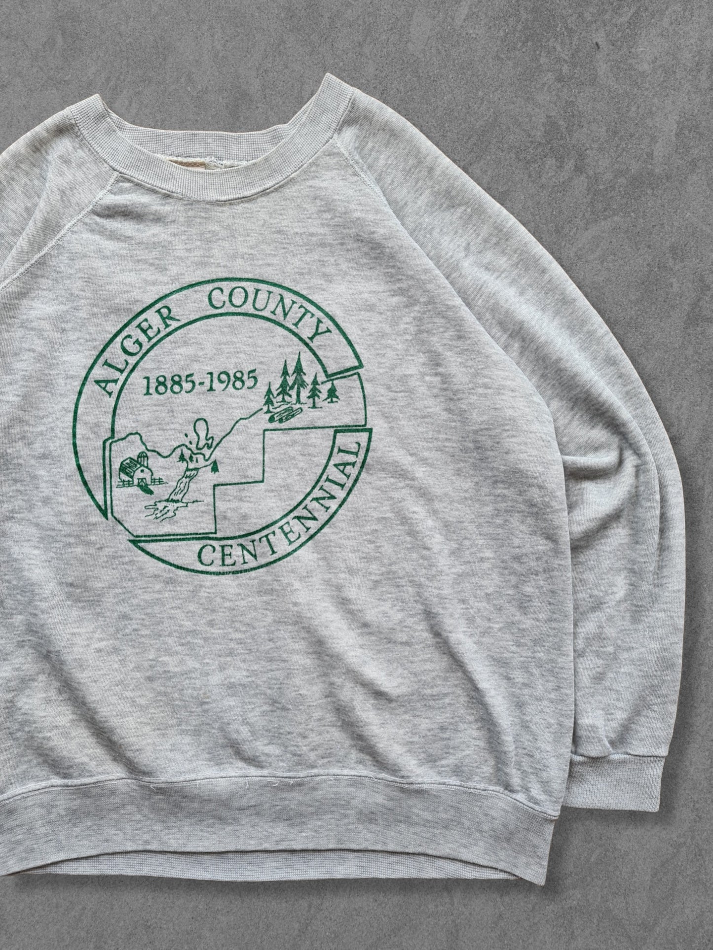 De vintage winkel met tweedehands kleding uit de thrift | 80s BASSETT WALKER ''ALGER COUNTY'' SWEATSHIRT [L] SWEATSHIRT
